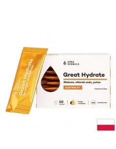 Great Hydrate – Електролитен баланс, 10 сашета - Възстановяване