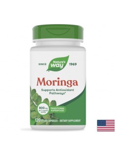 Моринга (лист) – Нормализира кръвната захар, холестерола и сърдечната функция, 400 mg, 120 веган капсули