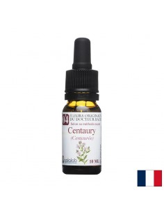 Цветна есенция Бах № 04 – Червен кантарион (Centaury), капки, 10 ml - Есенции