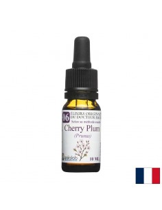 Цветна есенция Бах № 06 – Джанка (Cherry Plum), капки, 10 ml - Есенции