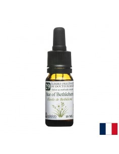 Цветна есенция Бах № 29 – Витлеемска звезда (Star of Bethlehem), капки, 10 ml - Есенции