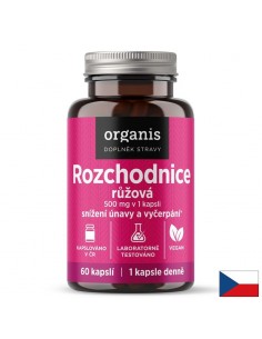 Златен корен (родиола), екстракт от корен, 500 mg, 60 капсули - Златен Корен/ Родиола