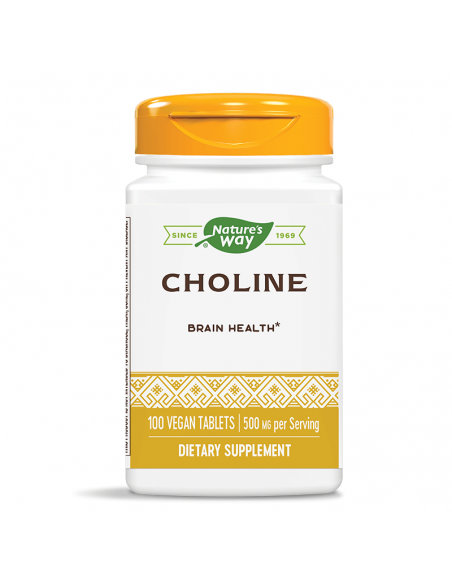 Холин 500 mg Nature’s Way - 1