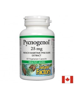 Pycnogenol® - Пикногенол, 25 mg, 60 капсули - Хемороиди