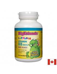 Витамин D3 Big Friends за деца 400 IU х 250 дъвчащи таблетки Natural Factors - Витамин D