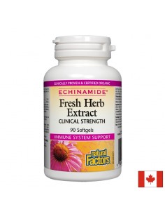 Имунитет - Echinamide® Ехинацея екстракт, 250 mg х 90 софтгел капсули