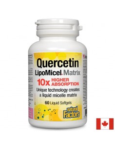 kvercetin-lipomicel-matrix-10x-higher-absopritopn - Хемороиди