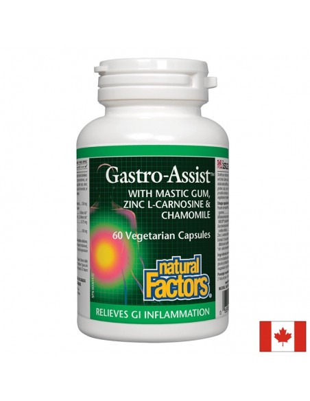 gastro-assist-mastiks-cinkov-l-karnozin-layka-60-kapsuli