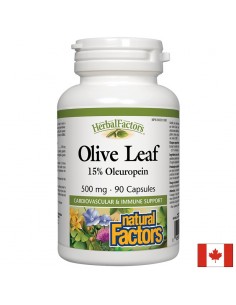 Olive Leaf / Маслина (лист) 500 mg х 90 капсули - Кръвоносни съдове
