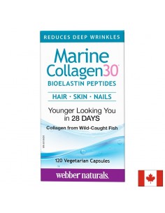 Marine Collagen30® Bioelastin peptides - Морски колаген с био еластинови пептиди, 120 капсули - Колаген