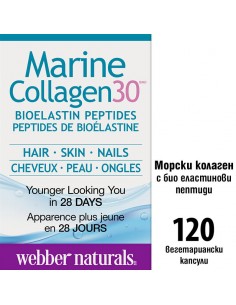 Marine Collagen30® Bioelastin peptides - Морски колаген с био еластинови пептиди, 120 капсули 2 - Колаген