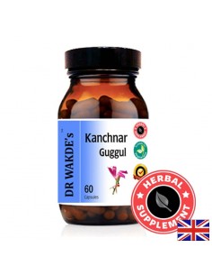 Канчнар Гугул (Kanchnar Guggul) - при проблеми с щитовидната жлеза, за изчистване на кръвта и лимфата, 60 капсули - Черен дроб