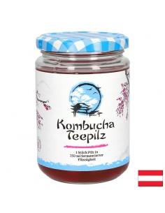 Подсилва имунитета - Комбуча Чаена гъба с ферментирал плодов чай, 200 ml - Имунитет