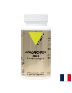 Енергия и силен имунитет - Астрагалозид IV (екстракт от астрагал), 625 mg х 60 капсули - Астрагал