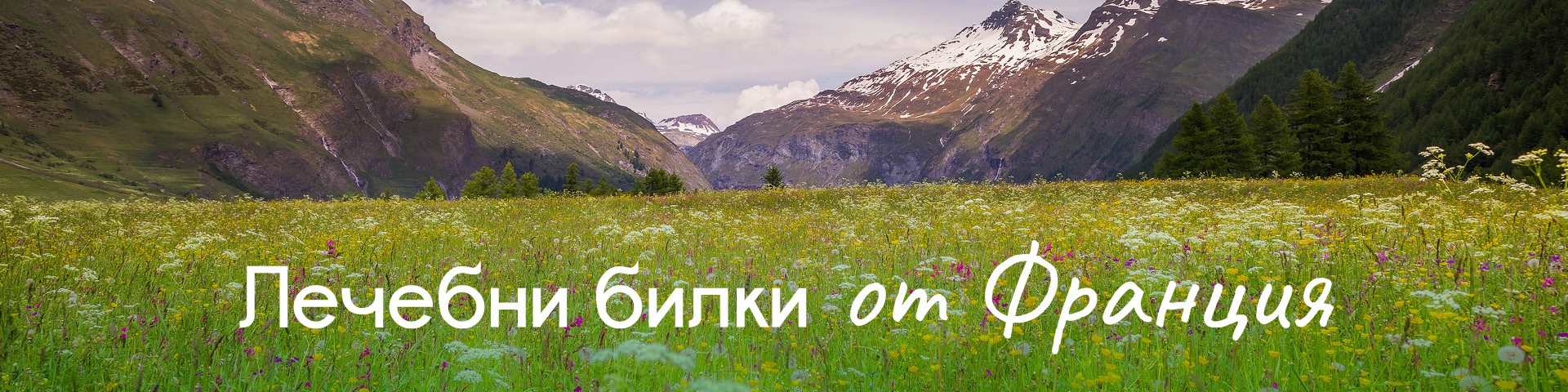 Франция