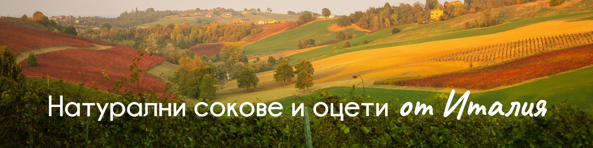 Италия