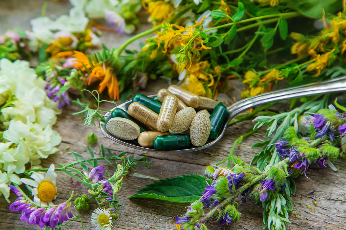 билки за пречистване на организма