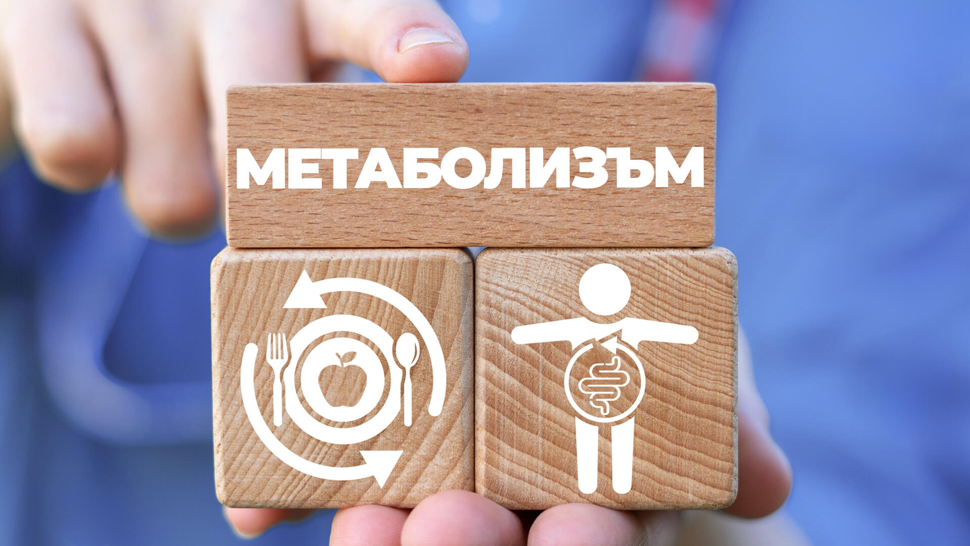 Метаболизъм
