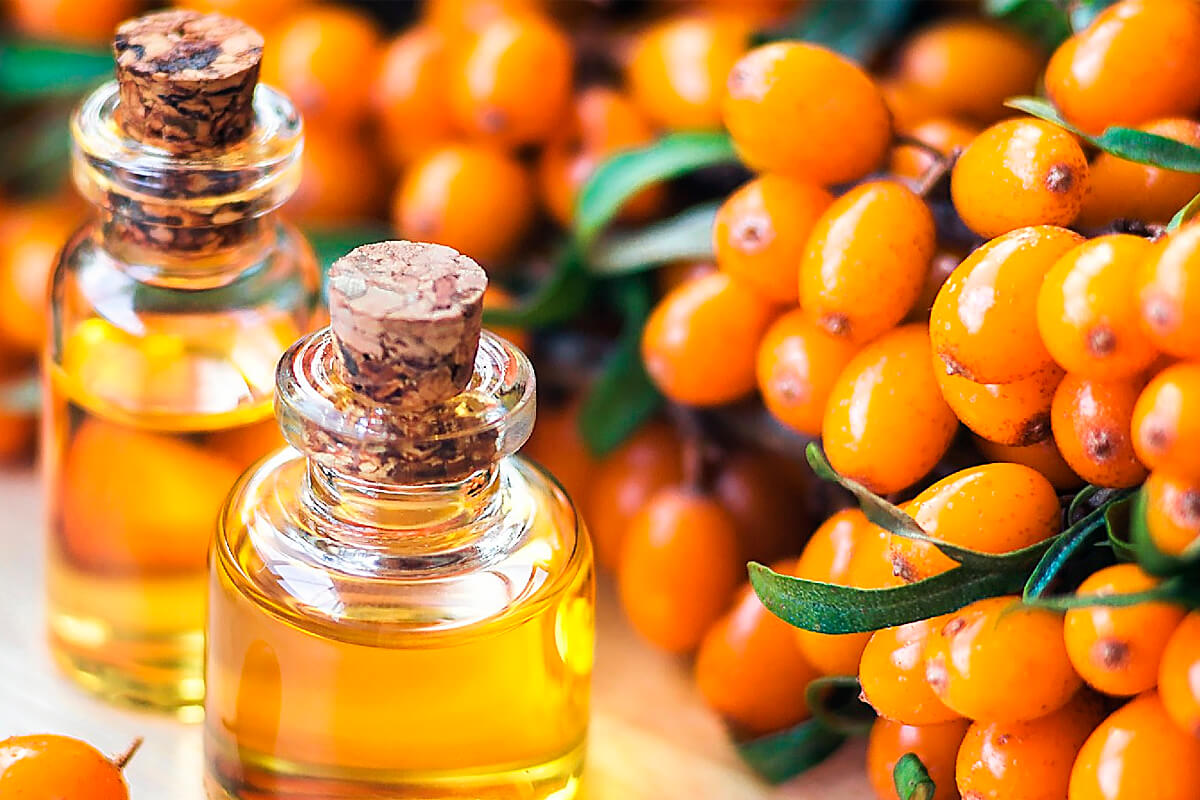 Морски зърнастец - облепиха