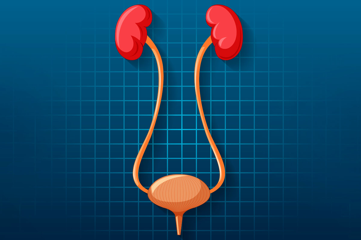 Отделителна система