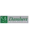 Damhert