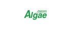Japan Algae