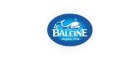 La Baleine