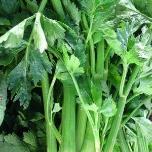 Целина срещу високо кръвно и наднормено тегло