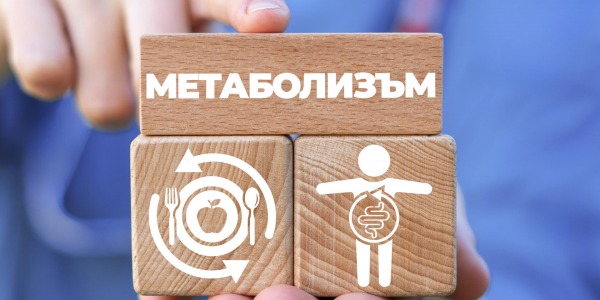 Как да ускорите метаболизма си и процеса на отслабване