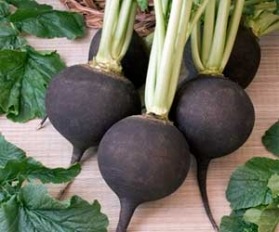 Черна ряпа срещу стомашни проблеми