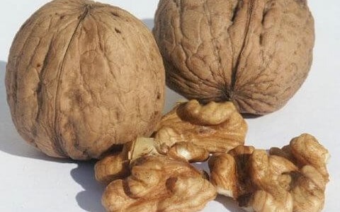 Ползата от орехите