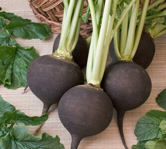 Ползите от черната ряпа 