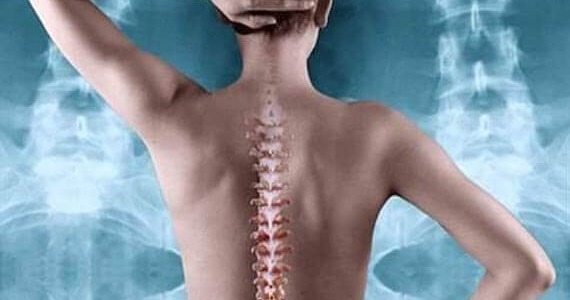 Соевите изофлавони полезни за костите 