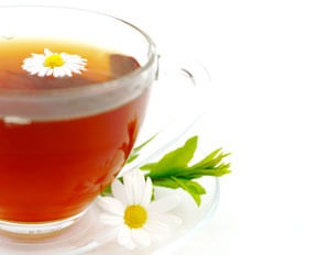 Обикновеният чай – алтернатива на антибиотиците