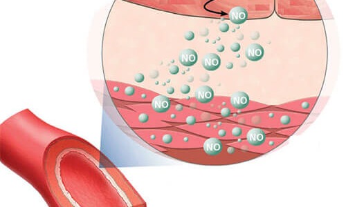 Азотният оксид помага при хипертония