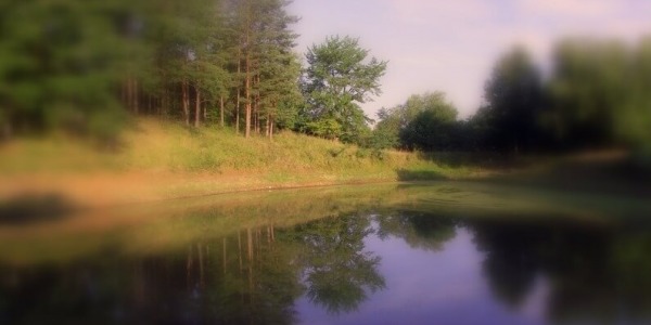Рейки в помощ на лечението и профилактиката на бъбречните болести (втора част)
