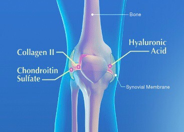 Предимствата на BioCell Collagen (Хидраплениш)