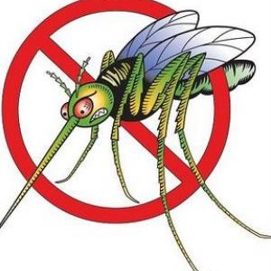 Защо ни хапят комарите