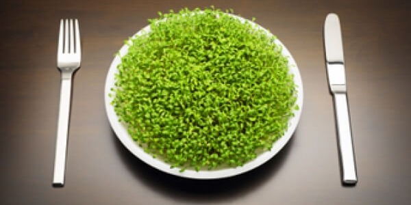Хлорела – суперхрана с уникални детоксикиращи свойства