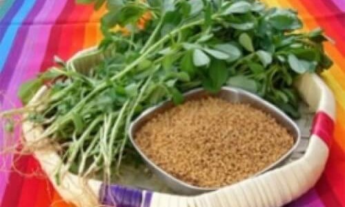 10 невероятни ползи от приема на сминдух