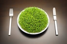 Ползи за здравето от ежедневния прием на спирулина