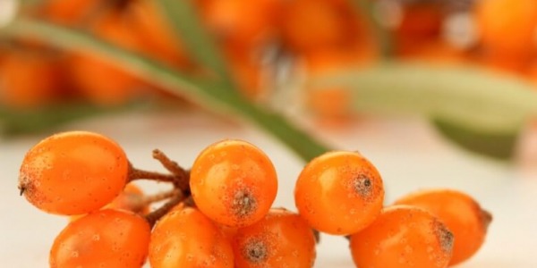 Брилиант лук - истинска суперхрана за коса и кожа!