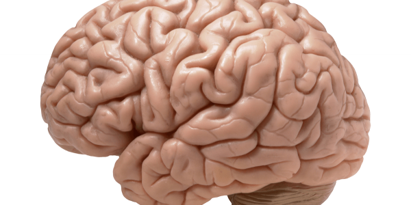 9 навика, които унищожават мозъка!