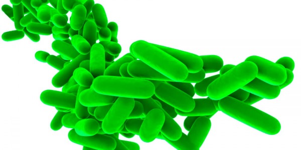 100% детоксикация с пробиотици!