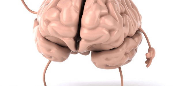 3 хранителни добавки за отлична мозъчна активност!