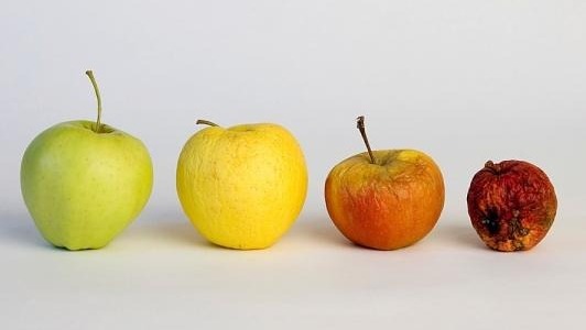 Спрете Оксидативния Стрес с R-алфа Липоева Киселина!