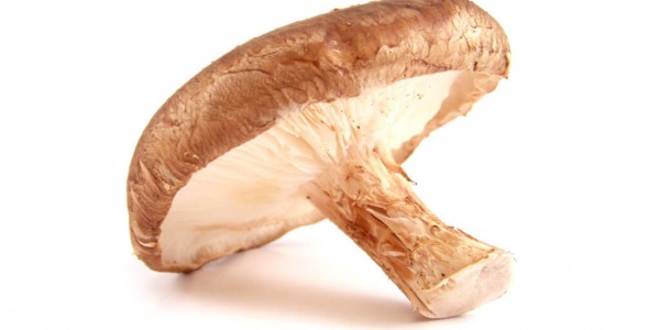 Неподозираните имуностимулиращи свойства на гъбите!