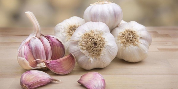 5 страхотни ползи от приема на чеснов екстракт!