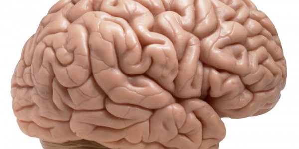 Кои фактори най-много вредят на мозъка?