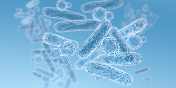 Пробиотикът Lactobacillus reuteri – ефективен срещу Хеликобактер пилори
